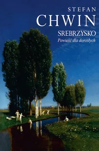 Srebrzysko. Powieść dla dorosłych - E-booki - literatura polska - miniaturka - grafika 1