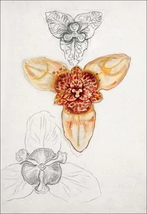 Galeria Plakatu, Plakat, Japanese Lily, East Hampton, Samuel Colman, 40x50 cm - Plakaty Galeria Plakatu, Plakat, Japanese Lily, East Hampton, Samuel Colman, 40x50 cm - Plakaty - miniaturka - grafika 1