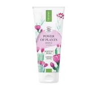 Balsamy i kremy do ciała - Lirene Power of Plants Wygładzający Balsam do ciała Miss Opuntia 200 ml - miniaturka - grafika 1