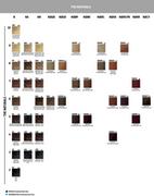 Farby do włosów i szampony koloryzujące - Goldwell Topchic Depot farba do włosów 9 N, 1er Pack (1 X 250 ML) 4021609004349 - miniaturka - grafika 1