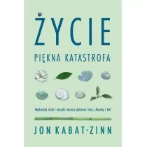 Życie, piękna katastrofa - Rozwój osobisty - miniaturka - grafika 1