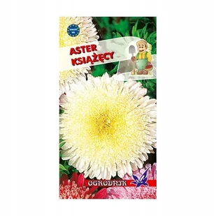 Aster książęcy kremowy 1g / O / - Nasiona i cebule - miniaturka - grafika 1