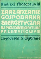 Technika - Zarządzanie gospodarką energetyczną w przedsiębiorstwie przemysłowym - miniaturka - grafika 1