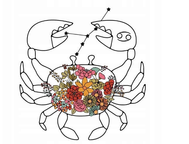 Naklejka Uv Wypukła Ozdobna DTF UV Aplikacja Rak Znak Zodiaku Kwiat