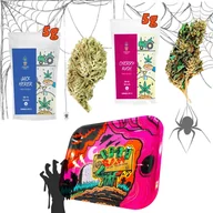 Zioła - Halloween Party - Susz CBD Jack Herer 5g + Cherry Kush 5g + Tacka Zombie - miniaturka - grafika 1