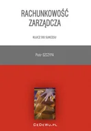 Finanse, księgowość, bankowość - Rachunkowość zarządcza. Klucz do sukcesu - miniaturka - grafika 1