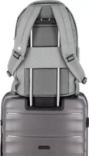 Plecak miejski Travelite Basics Allround Khaki - Plecaki - miniaturka - grafika 1