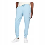 Dresy męskie - TOMMY HILFIGER SPODNIE MĘSKIE DRESOWE TOMMY LOGO SWEATPANTS NIEBIESKIE r.L - miniaturka - grafika 1