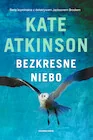 Kryminały - Jackson Brodie. Bezkresne niebo - miniaturka - grafika 1