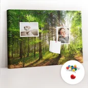 Tablice i flipcharty - Szkolna Tablica korkowa 60x40 cm, Kolorowe Pinezki, wzór Las wschód słońca - miniaturka - grafika 1