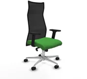 Fotele i krzesła biurowe - Krzesło Biurowe Piqueras y Crespo B2D086N Kolor Zielony - miniaturka - grafika 1