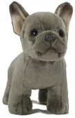 Maskotki i pluszaki - Maskotka Piesek Buldog Francuski Stojący - 23cm - miniaturka - grafika 1