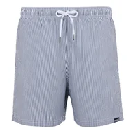 Kąpielówki męskie - Męskie Spodenki Kąpielowe Loras Stripe Seersucker - miniaturka - grafika 1