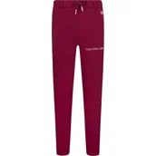 Spodnie sportowe damskie - Calvin Klein Jeans Spodnie dresowe | Regular Fit - miniaturka - grafika 1