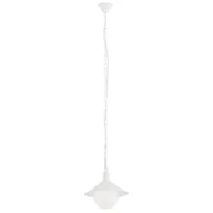 Lampy ogrodowe - Argon ERBA BIS 3296 lampa wisząca 1x60W E27 - miniaturka - grafika 1