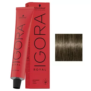 Schwarzkopf Igora Royal, profesjonalna farba do włosów, 6-00, 60ml - Farby do włosów i szampony koloryzujące - miniaturka - grafika 1
