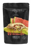 Pokarm dla płazów i gadów - Gecko Nutrition Banan Arbuz - pokarm dla gekonów : Gekon orzęsiony, felsuma 250g - miniaturka - grafika 1