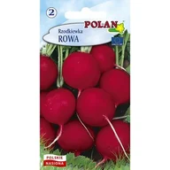 Nasiona i cebule - Rzodkiewka Rowa Polan - miniaturka - grafika 1