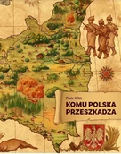 Historia świata - Prohibita Komu Polska przeszkadza Piotr Witt - miniaturka - grafika 1