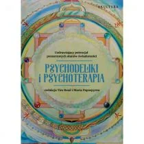 Psychodeliki i psychoterapia - Psychologia - miniaturka - grafika 1