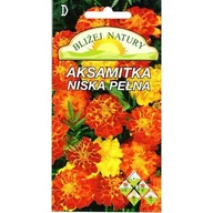 Nasiona i cebule - Aksamitka niska mieszana 0,5 g - miniaturka - grafika 1