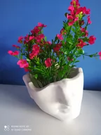 Donice - Donica,osłonka pochylona głowa - miniaturka - grafika 1