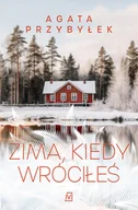 Literatura obyczajowa - Zima, kiedy wróciłeś - miniaturka - grafika 1
