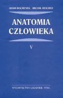 Książki medyczne - Wydawnictwo Lekarskie PZWL Anatomia człowieka - Adam Bochenek, Michał Reicher - miniaturka - grafika 1