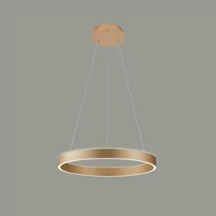 Brasco Up Down D60 lampa wisząca 2xLED/60W złota - Lampy sufitowe - miniaturka - grafika 2