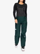 Spodnie narciarskie - Spodnie damskie The North Face Summit Tsirku FUTURELIGHT BIB - green/tnf black - miniaturka - grafika 1