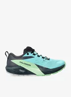 Buty sportowe damskie - Buty trailowe damskie Salomon Sense Ride 5 GTX - radiance/green ash - miniaturka - grafika 1