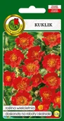 Nasiona i cebule - Kuklik czerwony 0.3 g PNOS - miniaturka - grafika 1