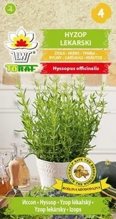 Toraf Hyzop lekarski nasiona ziół 0,5g 00027 - Nasiona i cebule - miniaturka - grafika 1
