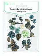 Scrapbooking - Dpcraft, Suszone Owoc Liście Deko 14szt - miniaturka - grafika 1