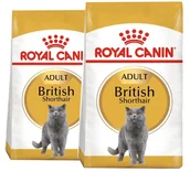 Mokra karma dla kotów - Royal Canin British Shorthair drób 10 kg - miniaturka - grafika 1