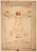 Plakaty - Plakat, Anatomia Leonardo da Vinci, 21x29,7 cm - miniaturka - grafika 1