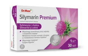 Silymarin Premium Dr.Max, suplement diety, 30 kapsułek - Układ pokarmowy - miniaturka - grafika 1
