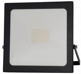 Reflektor LED zewnętrzny Lumileds (30 W,  4250 lm,  IP65) - Lampy ogrodowe - miniaturka - grafika 1