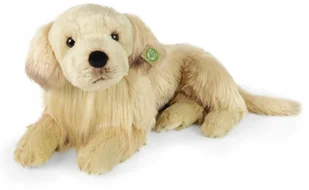 Maskotka Piesek Labrador Retriever Leżący - 53cm - Maskotki i pluszaki - miniaturka - grafika 1