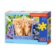 Puzzle - Puzzle Rude kocięta 60 elementów - miniaturka - grafika 1