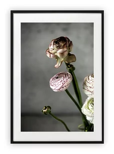 Plakat B1 70x100 cm Roślina Kwiat Natura Floral WZORY - Plakaty - miniaturka - grafika 1