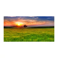 Foto gadżety - Foto obraz szklany Zachód słońca łąka - miniaturka - grafika 1