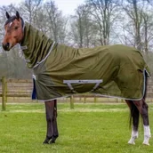 Derki dla konia - Bucas Derka siatkowa z kołnierzem FREEDOM - olive - miniaturka - grafika 1