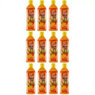 Soki i napoje niegazowane - Vita Aloe Napój z aloesem 38% Mango Zgrzewka 12 x 500 ml - miniaturka - grafika 1