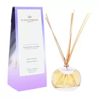 Aromaterapia - Dyfuzor zapachowy kolekcja Słoneczna Prowansja - Kaskady Lawendy - 100ml - miniaturka - grafika 1