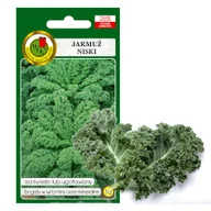 Nasiona i cebule - JARMUŻ NISKI DWARF GREEN CURLED NASIONA BEZ GMO - miniaturka - grafika 1