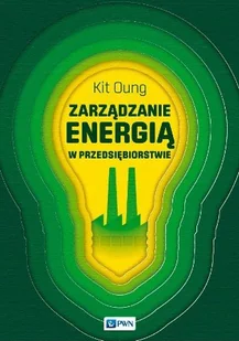 Wydawnictwo Naukowe PWN Zarządzanie energią w przedsiębiorstwie - Oung Kit - Zarządzanie - miniaturka - grafika 1