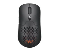 Myszki - Silver Monkey X Vervet - miniaturka - grafika 1