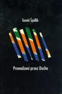Religia i religioznawstwo - Prowadzeni przez Ducha - miniaturka - grafika 1