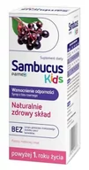 Przeziębienie i grypa - PAMEX Sambucus kids syrop 120 ml - miniaturka - grafika 1